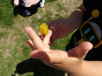 IMGP0386